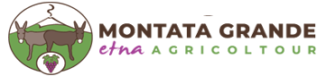 MontataGrande logo